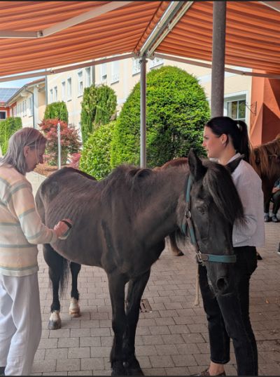 Ponybesuch auf unserer Terrasse – Bild 6